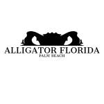 Alligator Florida