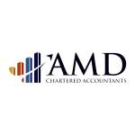 AMD Audit