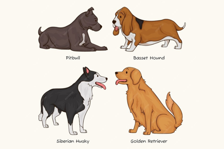 A Beginner's Guide to Stud Dogs: Knowing All about How to Take Care of It - livebuzzinsight
