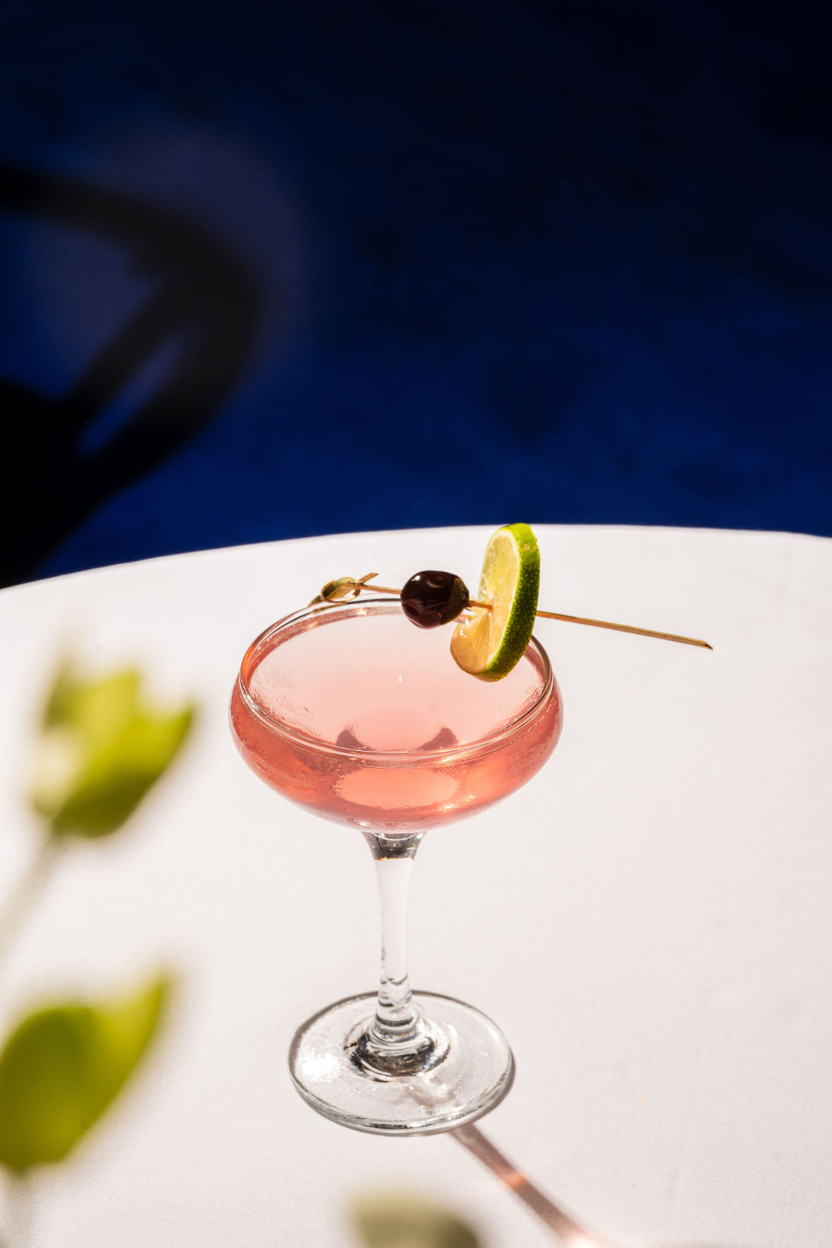Best Pink Cocktails for Every Occasion | Celosa Pink Tequila