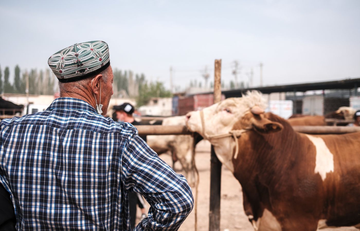 Xinjiang Cultural Tour Package Malaysia & Singapore | Silk Road Adventure