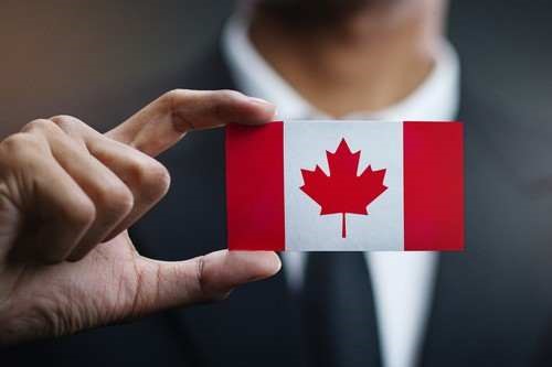 Best Immigration Consultant in India - Newlandvisas