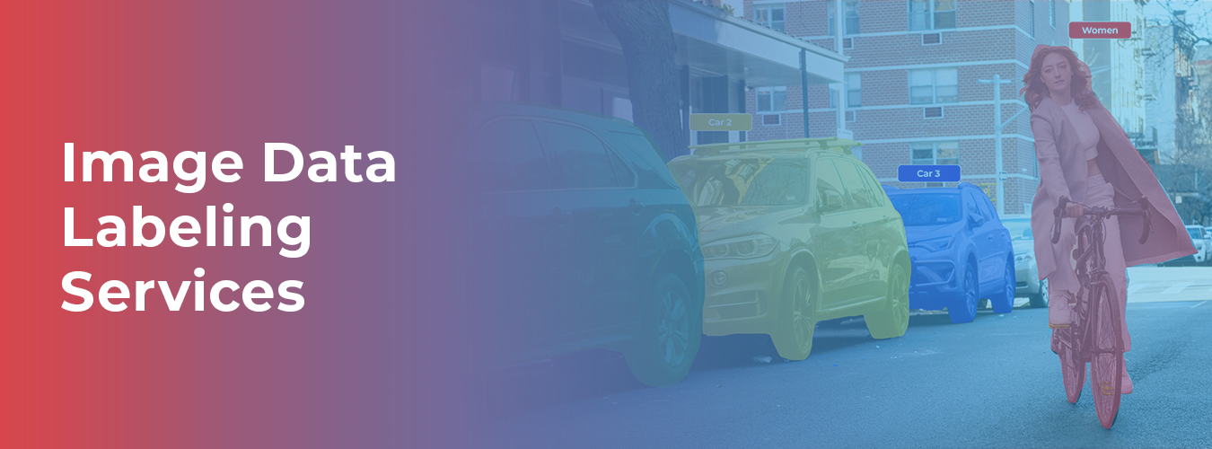 How to Choose the Right Image Data Labeling Services - Macgence