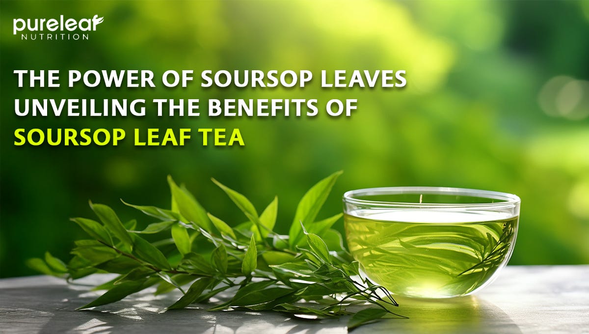 The Power of Soursop Leaves: Unveiling the Benefits of Soursop Leaf Tea | by Pureleaf Nutrition | Mar, 2025 | Medium