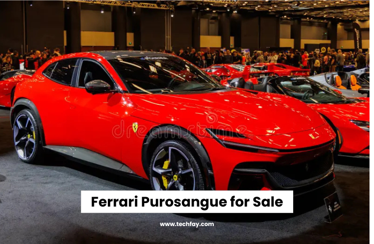 Ferrari Purosangue for Sale | The Luxury SUV Performance