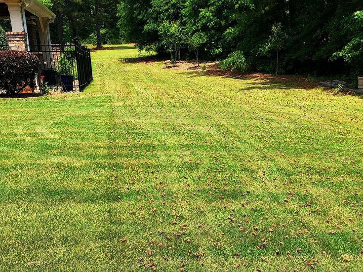 Tuxedo Lawns – Premium Lawn Care Services in 2025 | Sustainable landscaping, Healthy landscape, Lawn care