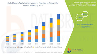 Security Cameras Market Growth Insights | Key Developments and Market Performance 2025 - 2032