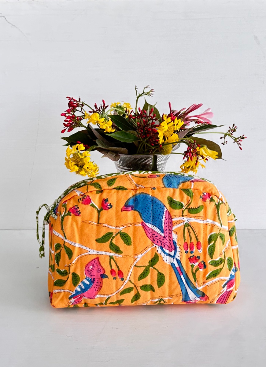 Find the Best Cabin Bags Online: Travel in Style and Comfort – Soma Shop