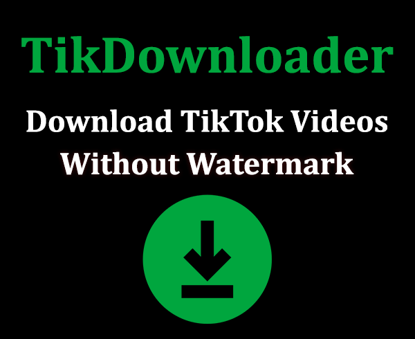 TikTok Downloader - TikTok Video Download No Watermark
