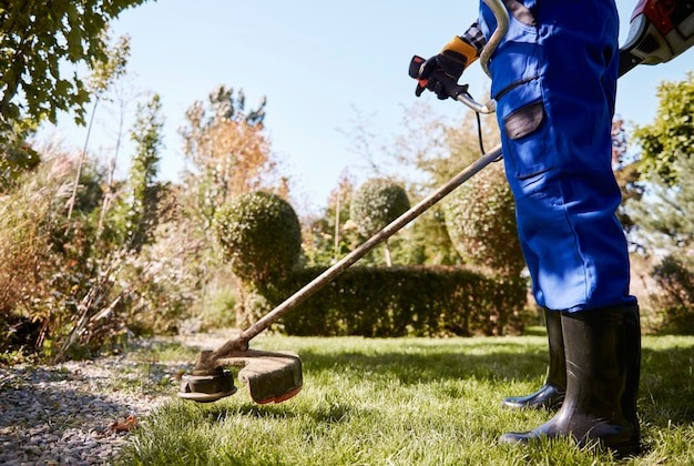 Busy Bee Lexington sc Lawn Care | Reliable Lawn Maintenance