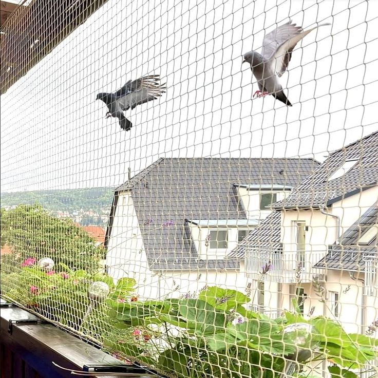 Pigeon Netting for Balconies: Installation Near Me in Toronto in 2025 | Bird netting, Bird control, Bird deterrents