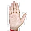 Book now with Best Palm reader in India Ramapada A..