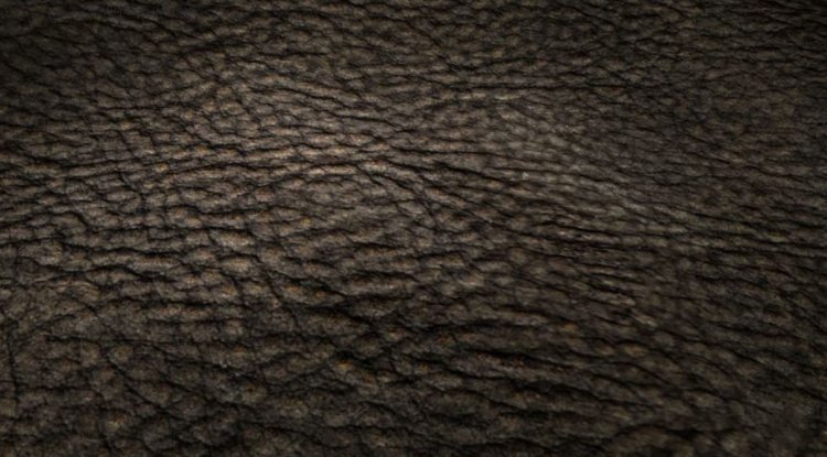 Key Insights You Should Recognize About PVC Leather Manufacturers - BIP Las Vegas