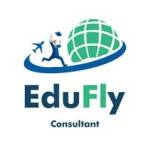 edufly consultant
