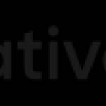 vativeApps LLC