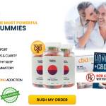 Highline Wellness