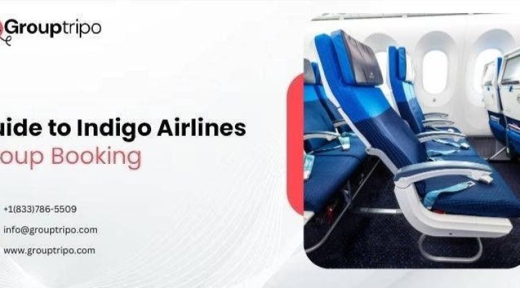 What is the Process for Indigo Airlines Group Booking - Omaha News Wire