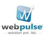 WebpulseSolution PvtLtd