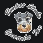 Timeless Studio Canada Inc