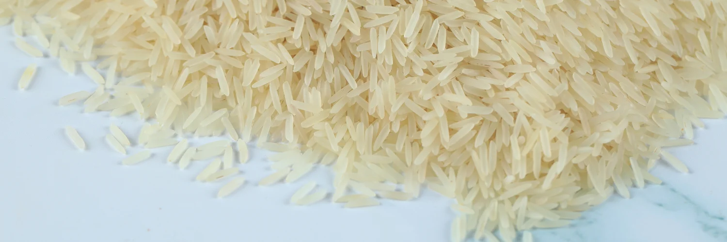 1509 Basmati Rice Exporters, Manufacturer and Supplier from India