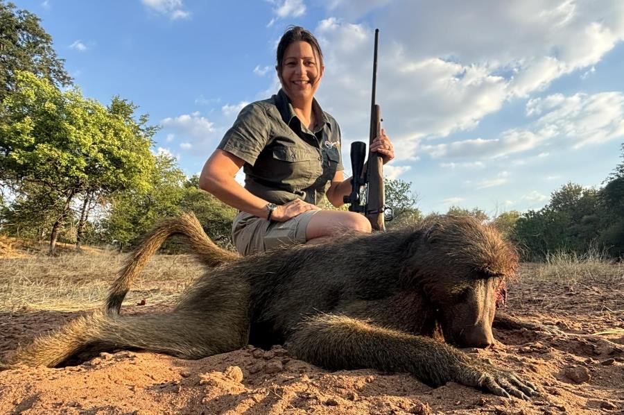 Baboon hunting