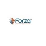 forza built