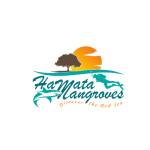 hamata mangroves