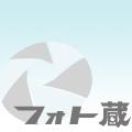 killer dealさんのプロフィール - 写真共有サイト「フォト蔵」