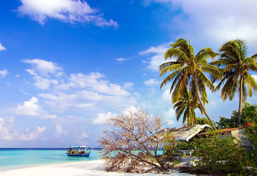 How Much Does it Cost to Visit Andaman 2025