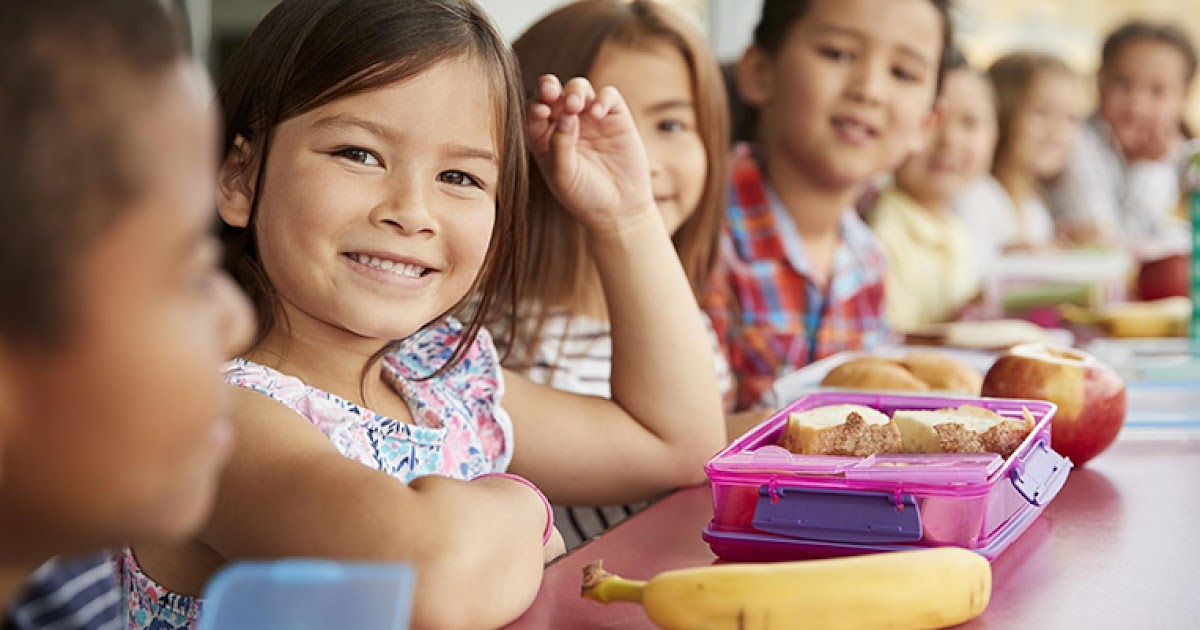 Transforming Mealtime Management with Hot Lunch's School Lunch Software