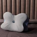 Derila Ergo Pillow Reviews