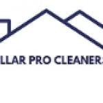Stellar Pro Cleaners