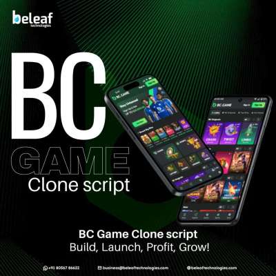 Enterprise-Ready BC Game Clone Script – Build a Crypto Casino Fast  Get a customizable, secure, and  Profile Picture