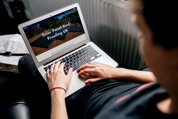 Web Design Surrey Services - WordPress Agency - Cude Design