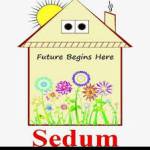 Sedum Rehab