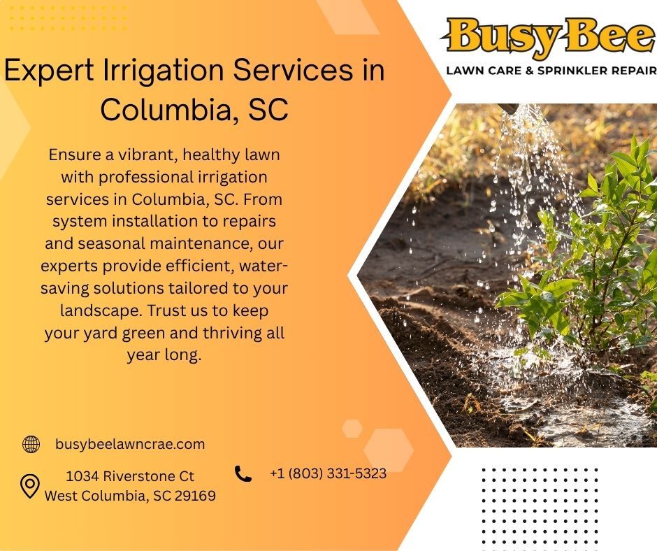 Expert Irrigation Services in Columbia, SC – Keep Your Lawn Lush Year-Round – @busybeelawncareandsprinklerrepai on Tumblr