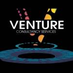 ventureconsultancy services