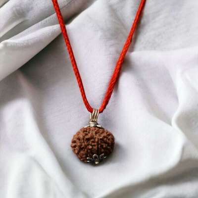 Natural 10 Mukhi Nepali Rudraksha - Das Mukhi Profile Picture
