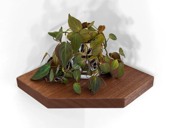 Smart Corner Solutions Begin with Nook Woodworking! -  WriteUpCafe