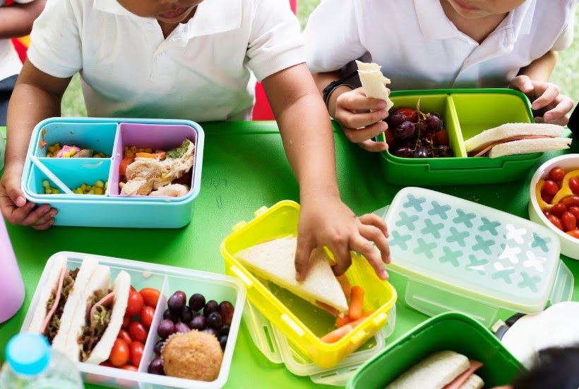 Revolutionizing the School Lunch Program in the USA: How Hot Lunch Is Leading the Way