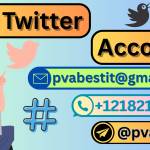 Buy Twitter Twitter Account