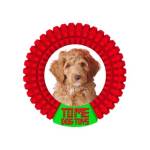 Tome Dog Toys