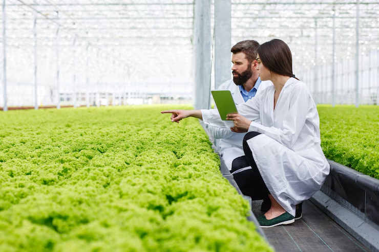 Complete Guide to Hydroponic Farming Grow Without Soil