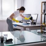 alpinecleaning services
