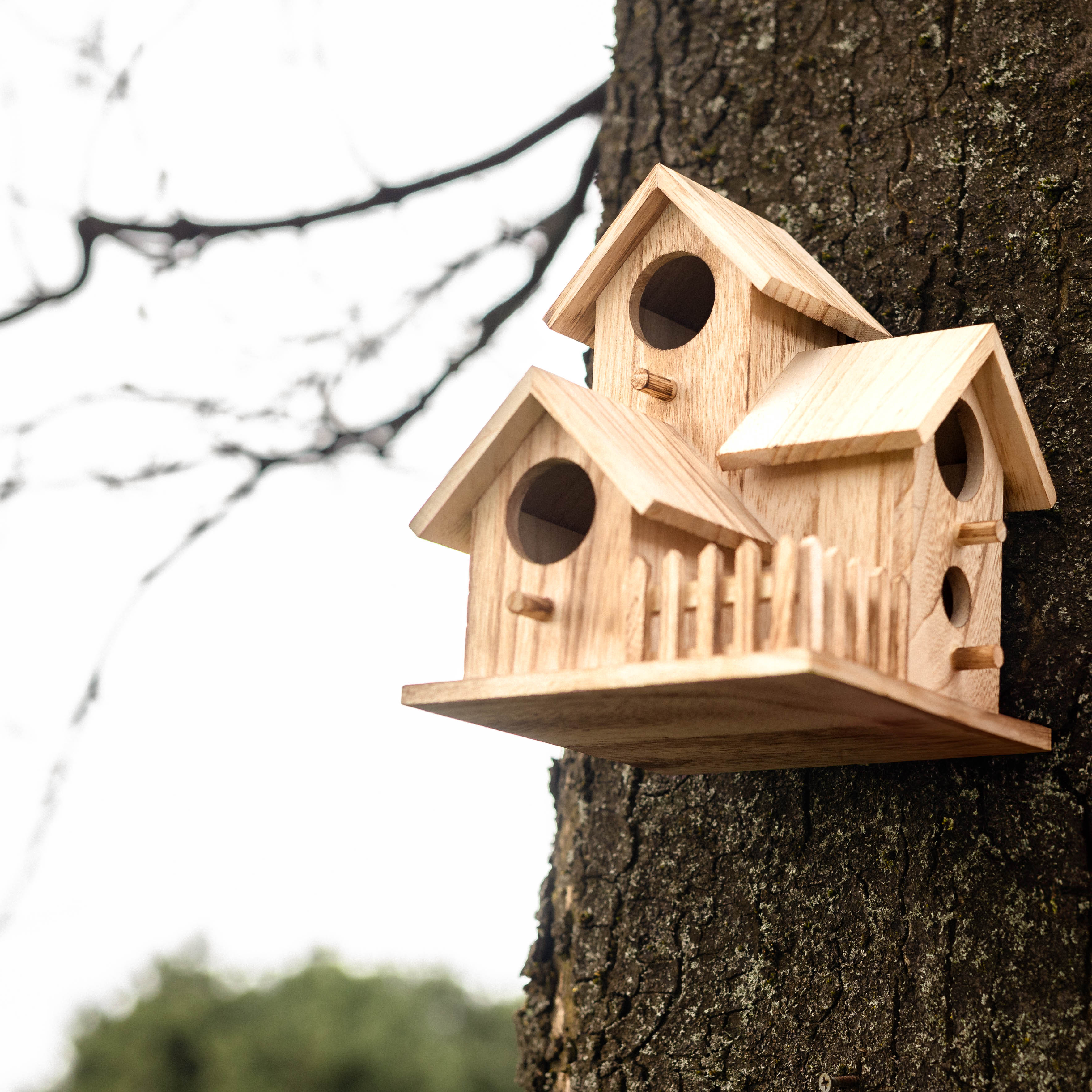 Choosing The Right Bird Feeder - Best Bird Feeder