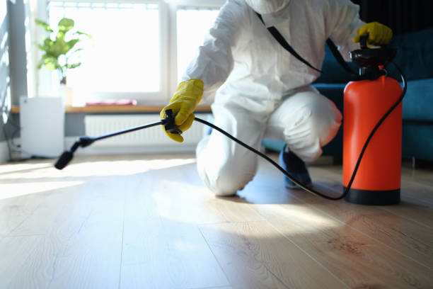 Indoor vs. Outdoor Pest Control Approaches: What's the Difference? - The Global Newz