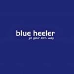Blue Heeler Shoes