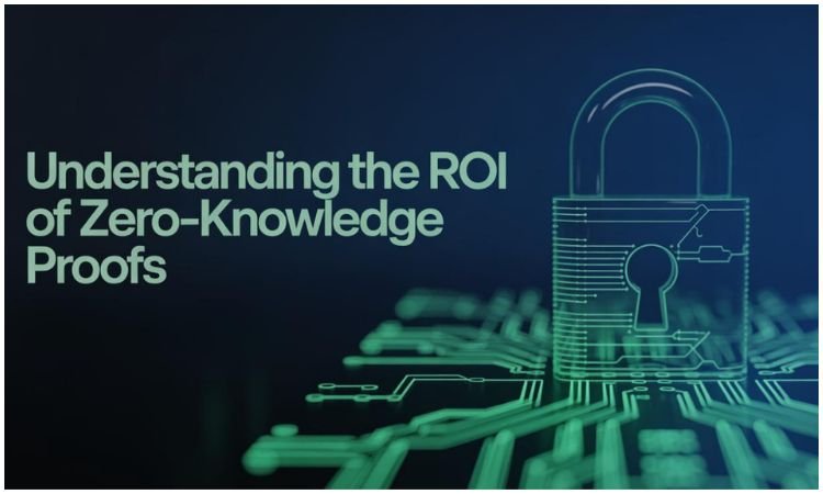 Zero Knowledge Proof ROI for Business Security