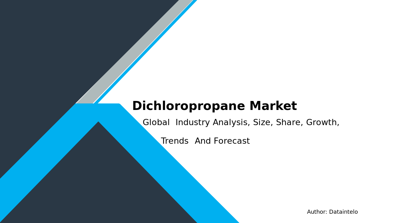 Dichloropropane Market Report | Global Forecast From 2025 To 2033