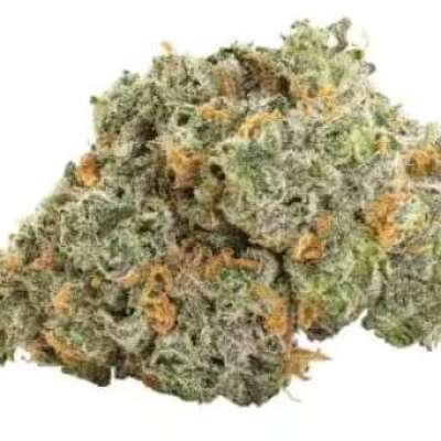 Big Bag O Buds - Blueberry Dream Profile Picture